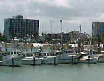 boats and  shoreline at Corpus Christi, Texas